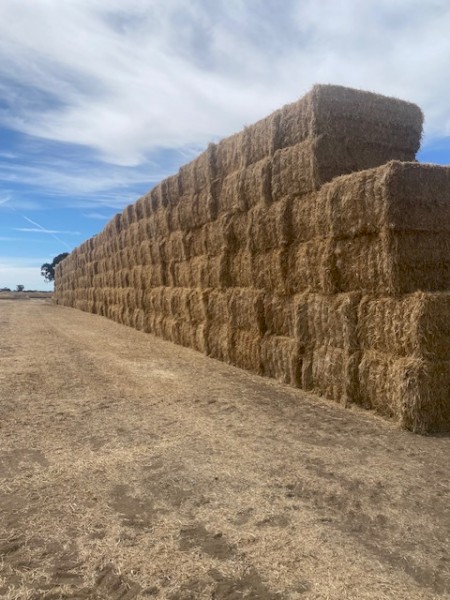 120mt Oaten & Clover Hay 600-650kg 8x4x3 Bales