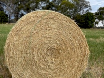 Oaten Hay Round Bales