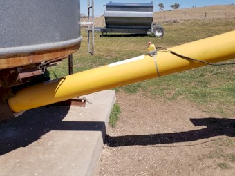 Westfield 41×10 Auger