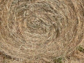 Rye Grass Clover 5x4 Rolls