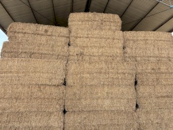 200mt Vetch Hay 8x4x3 Bales