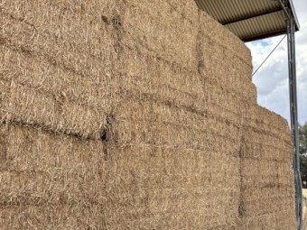 200mt Vetch Hay 8x4x3 Bales