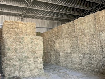 Sub clover hay | Farm Tender