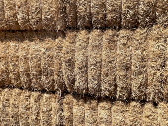 460mt Wheat Straw 8x4x3 Bales