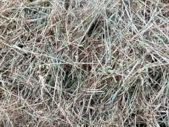 500x Oaten Hay 5x4 Rolls