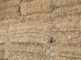 Wheaten Header Tailings