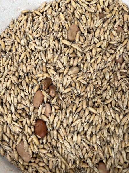 Oat Bean Mix  (Approx 15t)