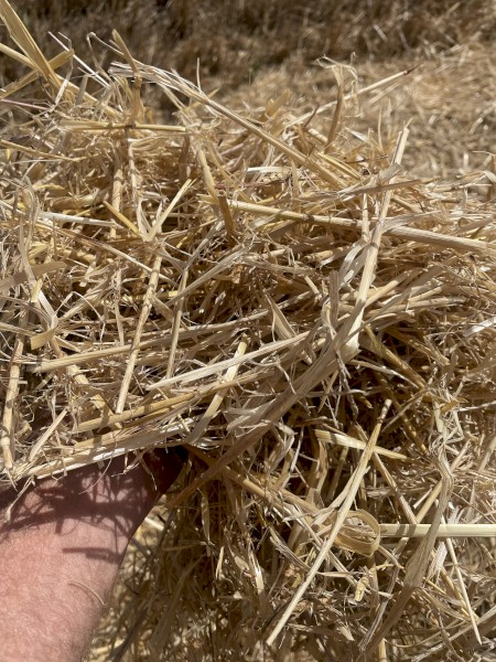 Barley Straw 5x4 Rounds