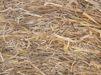 Barley Straw 5x4 Rounds