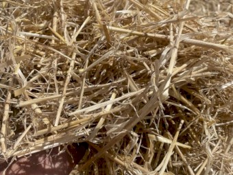 Barley Straw 5x4 Rounds