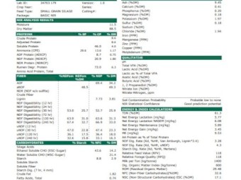 Awnless wheaten and rye hay 2023 season
