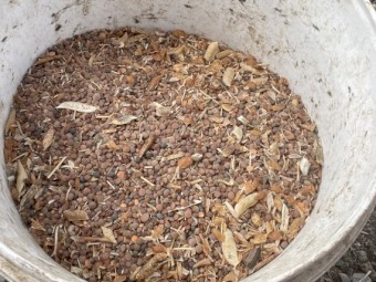 Lentil seconds/screenings