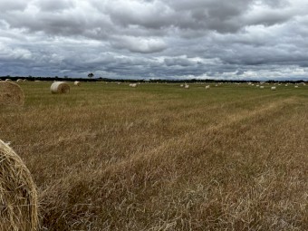 150 x Rye Grass Hay 4x4 Rolls