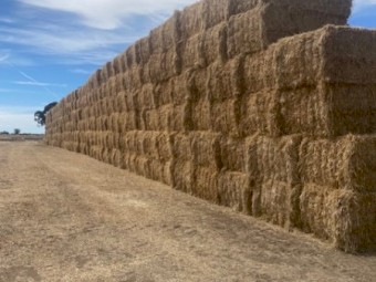 120mt Oaten & Clover Hay 600-650kg 8X4X3 Bales