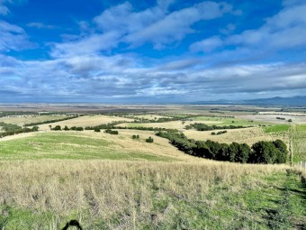 Sheep grazing agistment available from SEPTEMBER 2025