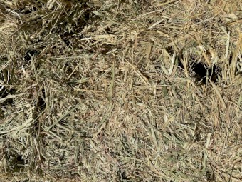 Oaten mix hay large bales