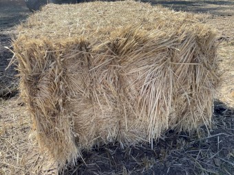 Oaten mix hay large bales