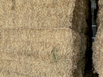 100mt Vetch Hay 650kg 8x4x3 Bales