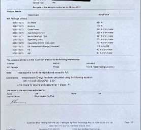 100mt Vetch Hay 650kg 8x4x3 Bales