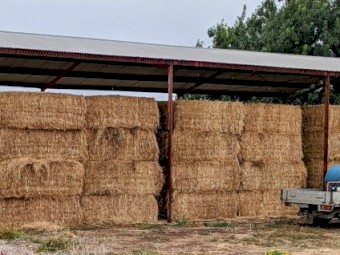Organic native grass hay.