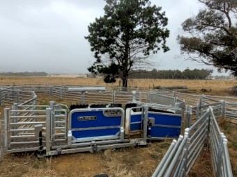 2023 Clipex Sheep Handler