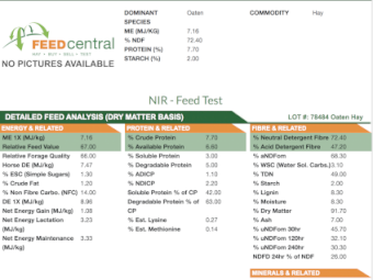 100mt Oaten Hay 500kg 8x4x3 Bales