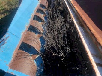 Shelbourne Stripper Front