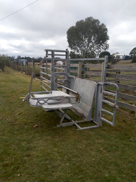 Arrowquip Calf Crush/Table