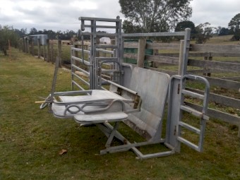 Arrowquip Calf Crush/Table