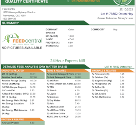 60mt Oaten Hay 650kg 8x4x3 Bales