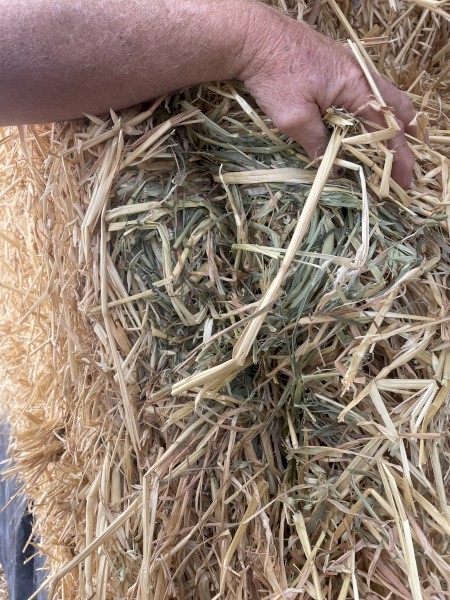 350mt Oaten Hay 8x4x3 Bales