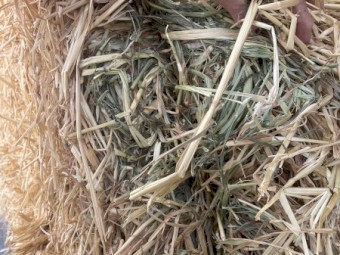 350mt Oaten Hay 8x4x3 Bales