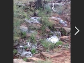 ONO 98.842 acres Primary Production Res/Rural 