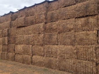 150mt Vetch Hay 8x4x3 Bales