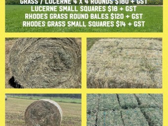 Lucerne Hay Small bales