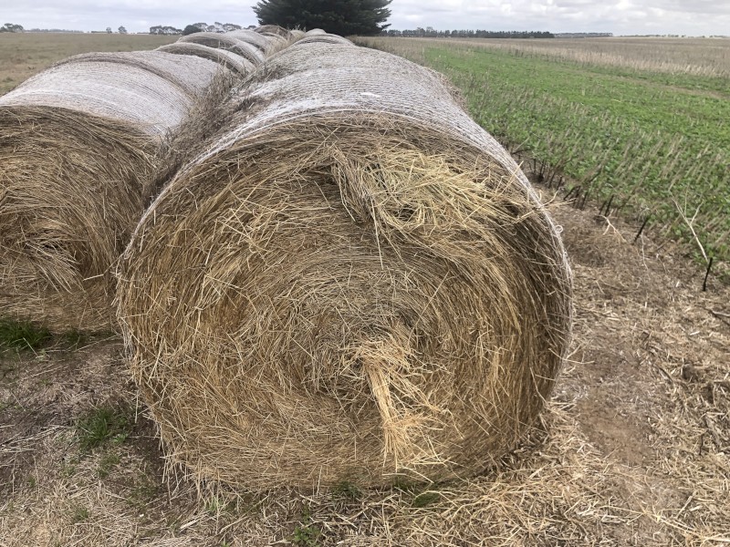 60 Clover Rye Hay 5x4 Round Bales