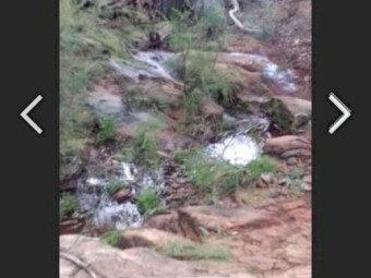 Weekender/ 98.842 ac (40Ha) Farm Land / Torrens Residential Rural (40Ha)