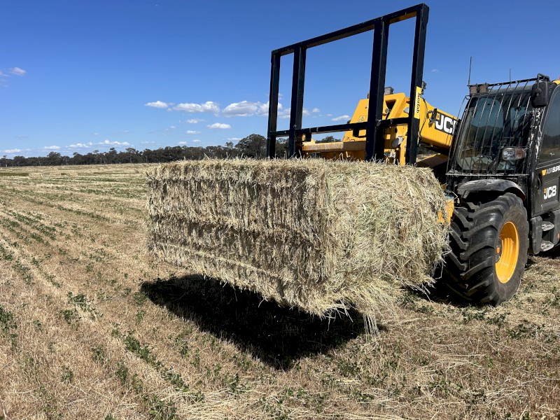 500mt Rye Grass & Clover Hay 8x4x3 Bales