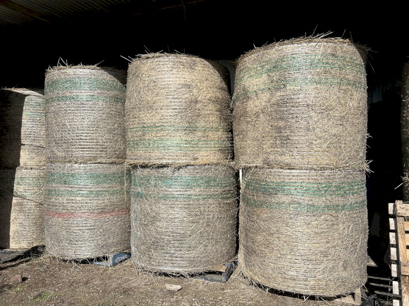 Oaten Hay For Sale 