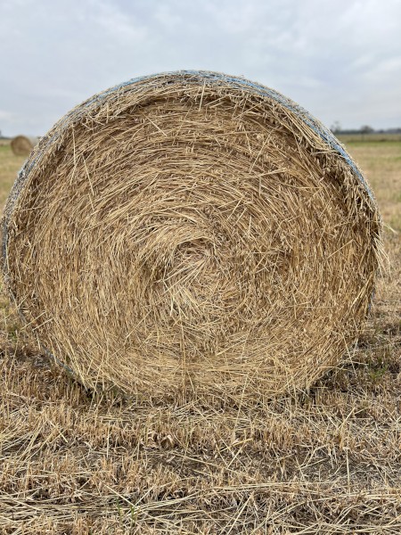 Oaten Hay Rounds
