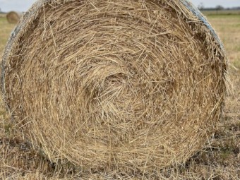 Oaten Hay Rounds