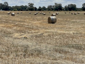 4 x 4 Round Oaten and Rye Mix