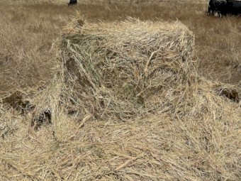 4 x 4 Round Oaten and Rye Mix