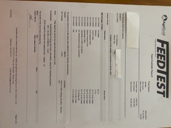 Clover / Ryegrass Hay