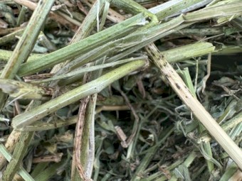 Lucerne Hay 4x4 rounds