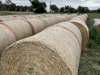 Lucerne Hay 4x4 rounds