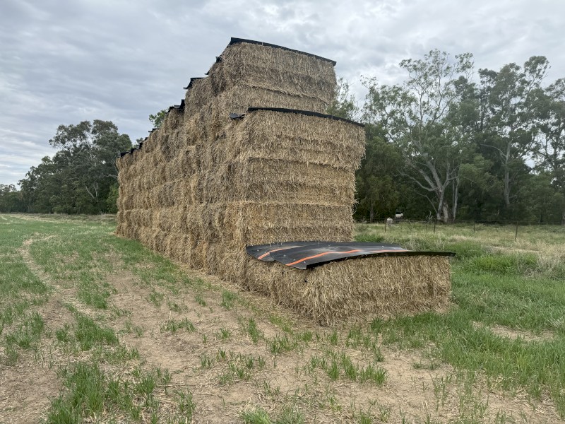 50T Barley Straw - 8x4x3 Bales 