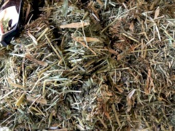 Organic Grass/Vetch Rounds