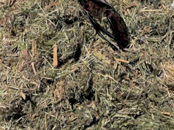 Organic Grass/Vetch Rounds