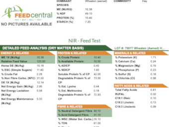 New Season Wheaten hay 8x4x3 Bales